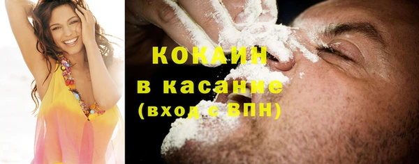 шишки Горно-Алтайск