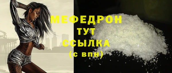 шишки Горно-Алтайск