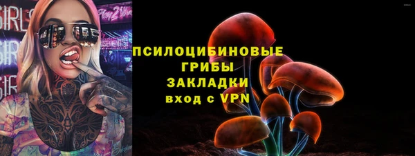 стаф Горнозаводск