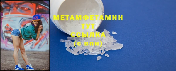шишки Горно-Алтайск