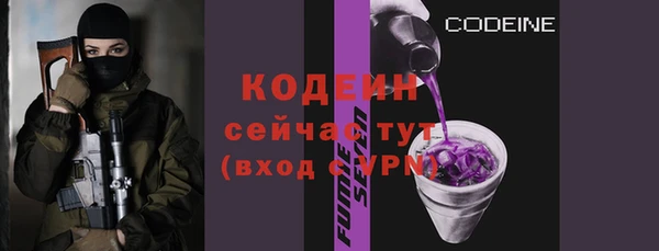 шишки Горно-Алтайск