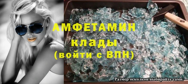 индика Кадников