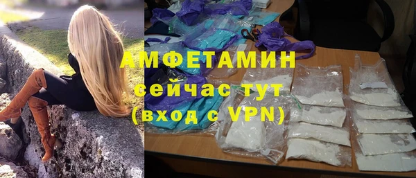 шишки Горно-Алтайск