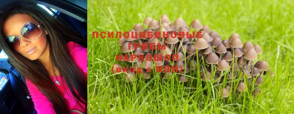 стаф Горнозаводск