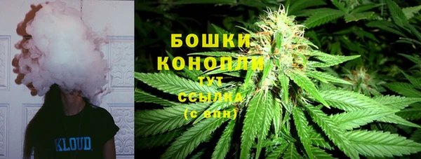 шишки Горно-Алтайск