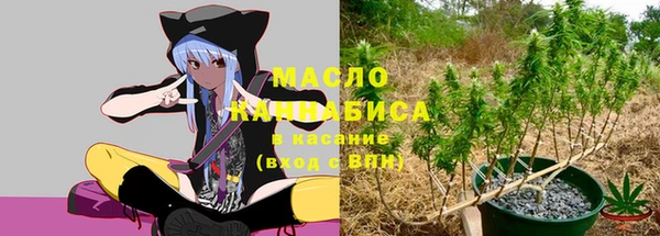 молекула духа Горняк