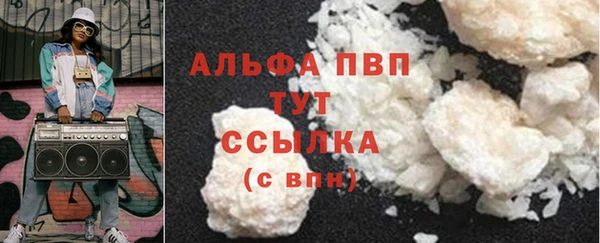 шишки Горно-Алтайск
