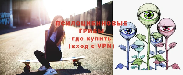ПСИЛОЦИБИНОВЫЕ ГРИБЫ Ишимбай