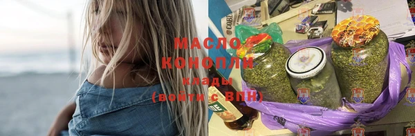 шишки Горно-Алтайск