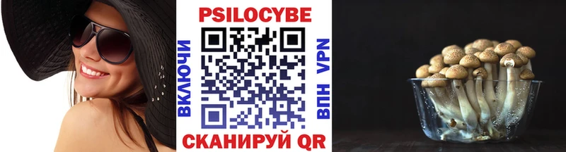 Псилоцибиновые грибы ЛСД наркотики Осинники